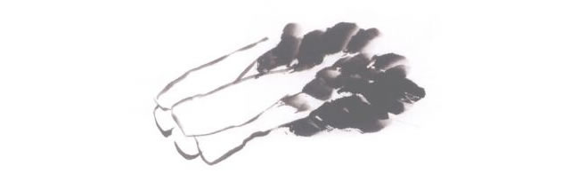白菜兒童國(guó)畫(huà)法步驟02
