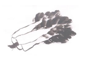 白菜兒童國(guó)畫（二）