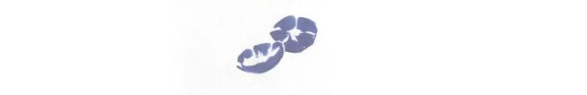 牽?；▋和嫹ú襟E01