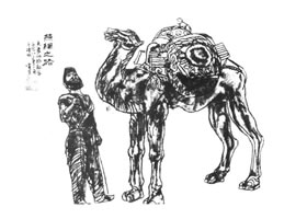 線描人物畫(huà)（生態(tài)效應(yīng)）法