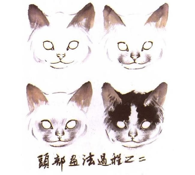 水墨畫(huà)貓頭部畫(huà)法過(guò)程之二