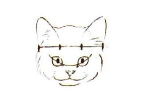 水墨畫(huà)貓頭部畫(huà)法過(guò)程之一