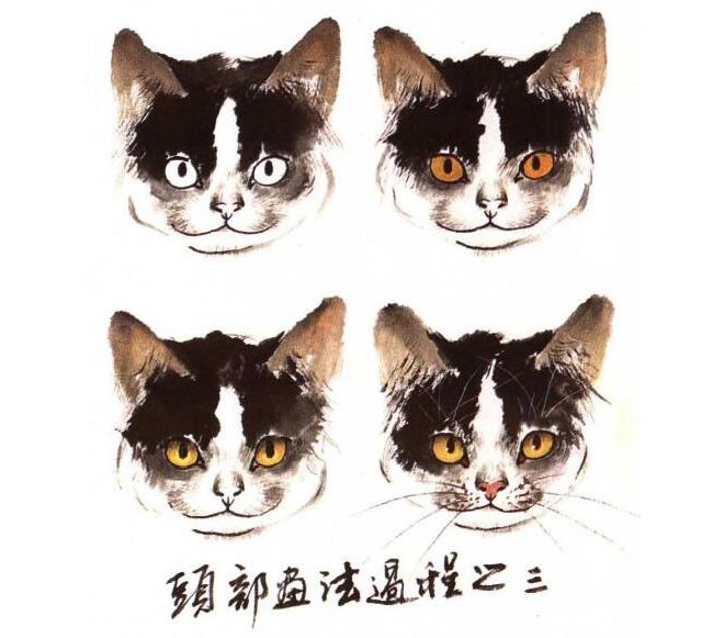 水墨畫(huà)貓頭部畫(huà)法過(guò)程之三