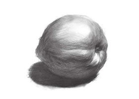 油桃的素描畫法