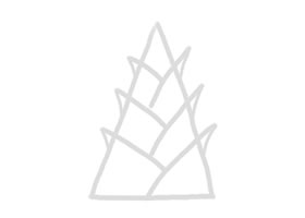 竹筍幼兒簡(jiǎn)筆畫