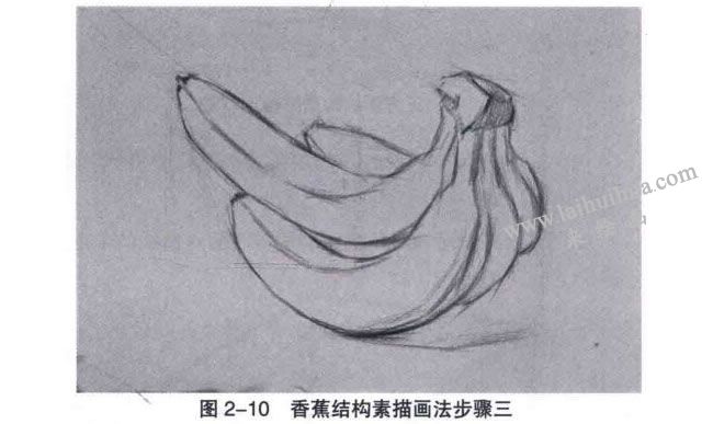 單個靜物的結(jié)構(gòu)素描畫法步驟03