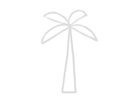 棕櫚樹幼兒簡(jiǎn)筆畫