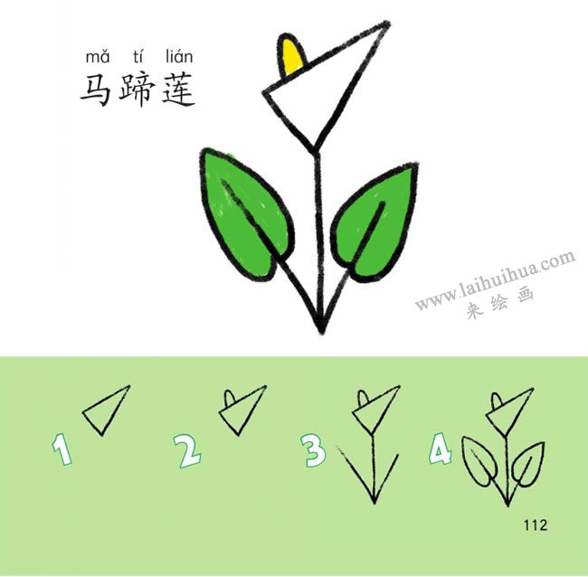 馬蹄蓮幼兒簡(jiǎn)筆畫法步驟圖解