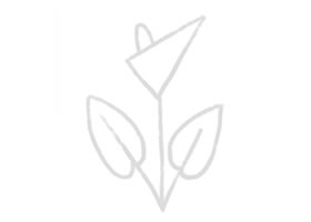 馬蹄蓮幼兒簡(jiǎn)筆畫