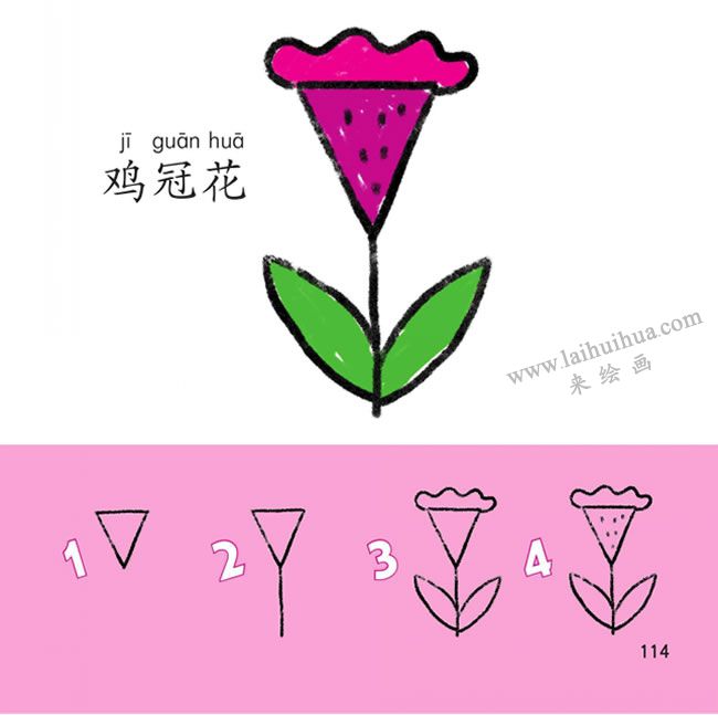 雞冠花幼兒簡(jiǎn)筆畫法步驟圖解