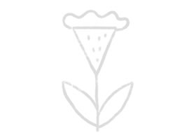 雞冠花幼兒簡(jiǎn)筆畫
