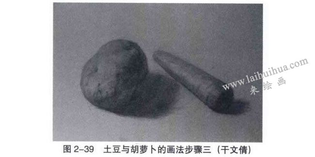 土豆與胡蘿卜素描畫法步驟03