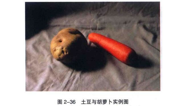 土豆與胡蘿卜素描畫法