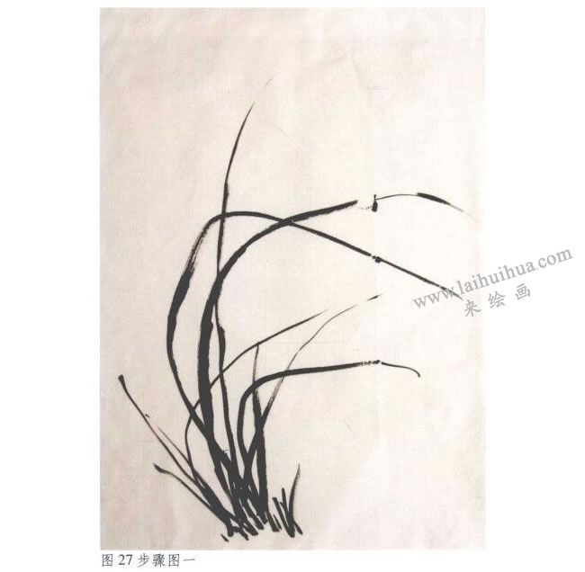 《墨蘭》水墨畫(huà)法步驟01