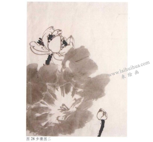 《墨荷》水墨畫(huà)法步驟02
