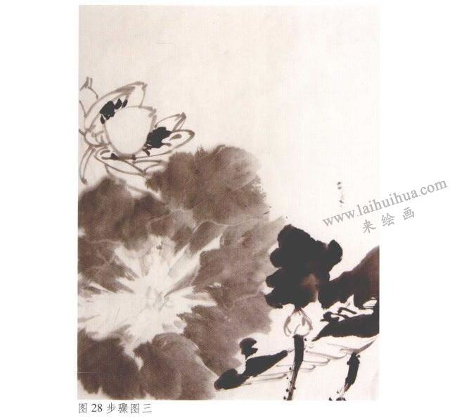 《墨荷》水墨畫(huà)法步驟03