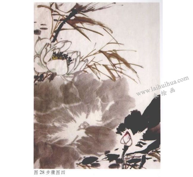 《墨荷》水墨畫(huà)法步驟04