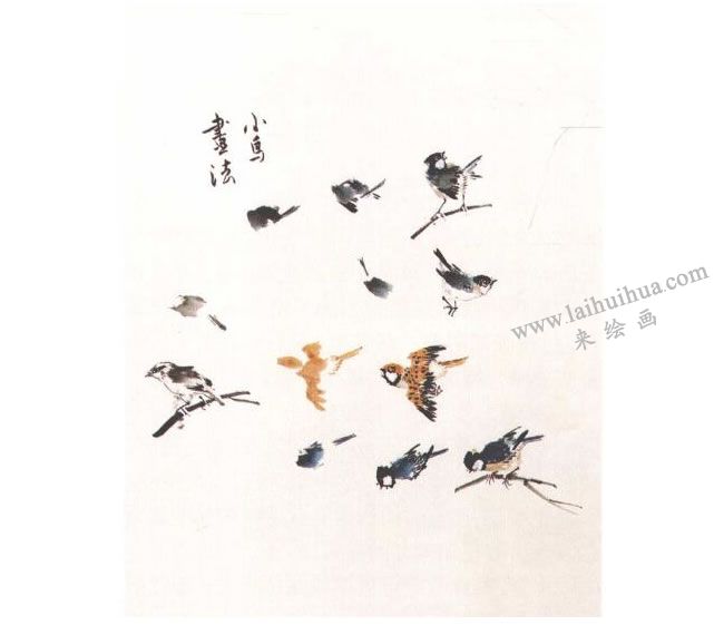 《小鳥(niǎo)》水墨畫(huà)法步驟01