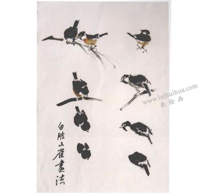 《小鳥(niǎo)》水墨畫(huà)法步驟03