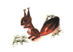 松鼠兒童水墨畫(huà)法