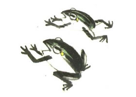 青蛙兒童水墨畫(huà)法