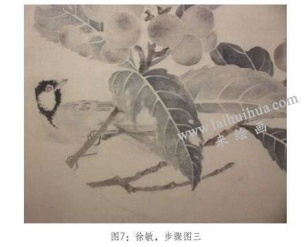 工筆畫(huà)《琵琶山鳥(niǎo)圖》臨摹步驟：深入刻畫(huà)