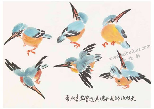 翠鳥(niǎo)的寫(xiě)意畫(huà)法