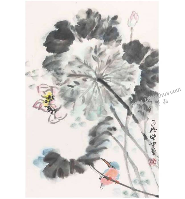 荷花翠鳥(niǎo)圖之一