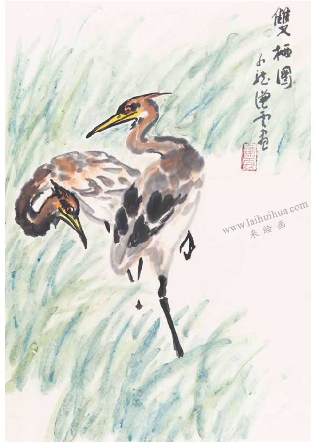 雙棲圖