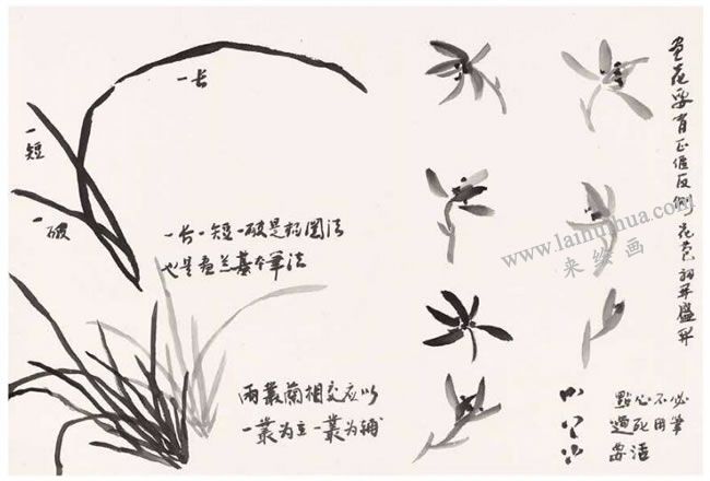 蘭草的寫(xiě)意畫(huà)法