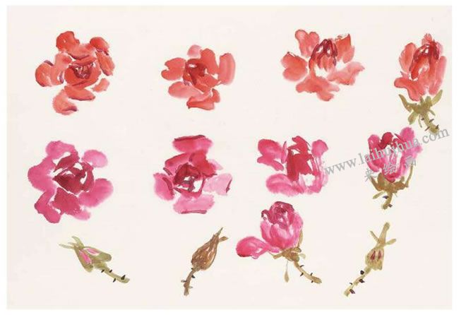 月季花頭的畫(huà)法