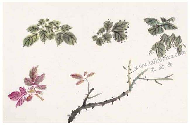 月季花葉的畫(huà)法