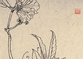 王瑛《水紅杜鵑》白描花卉作品