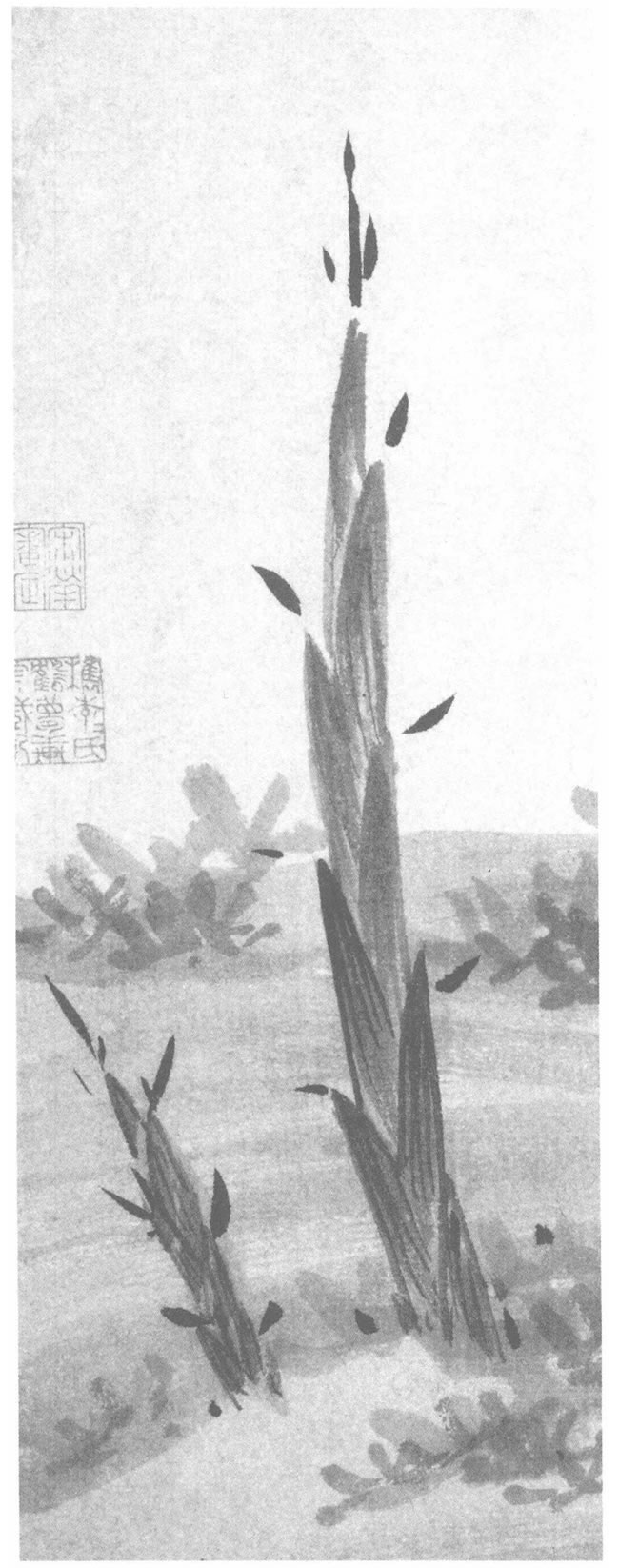 竹筍的水墨畫法