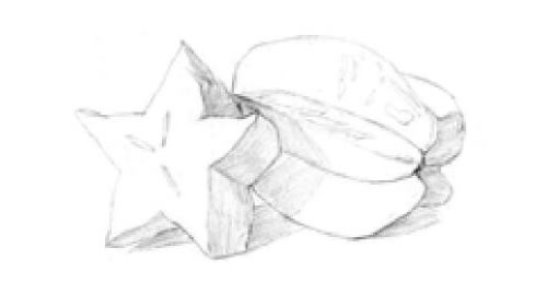 陽(yáng)桃素描畫法步驟01