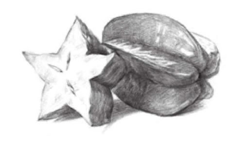 陽(yáng)桃素描畫法步驟03