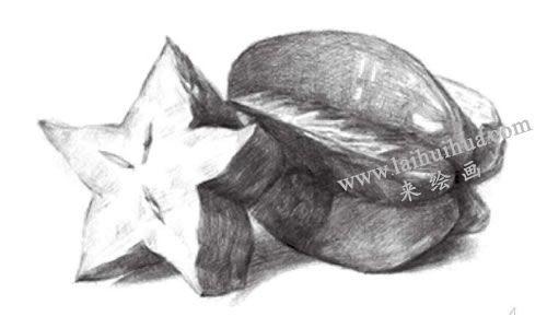 陽(yáng)桃素描畫法步驟05