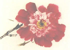 牡丹正面花頭的寫(xiě)意畫(huà)法