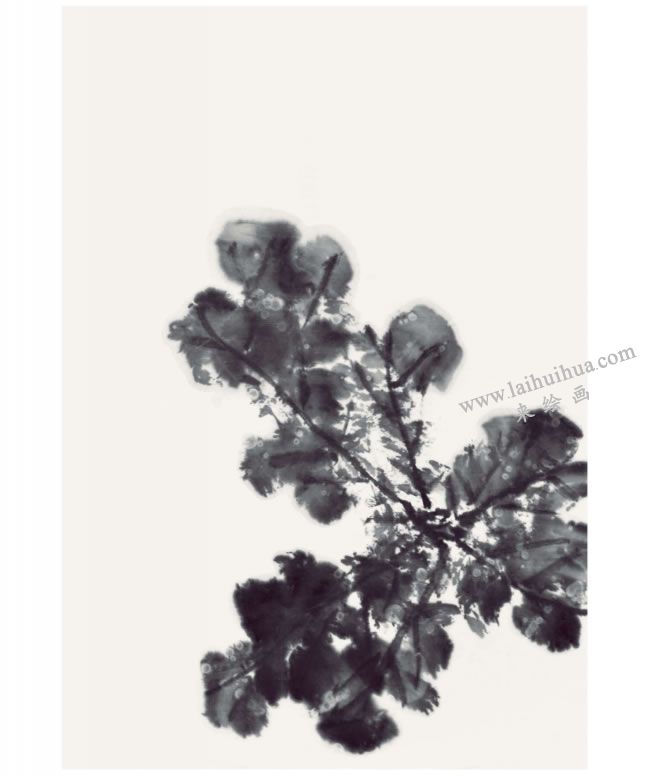 郭書(shū)仁《清水出芙蓉》畫法步驟02