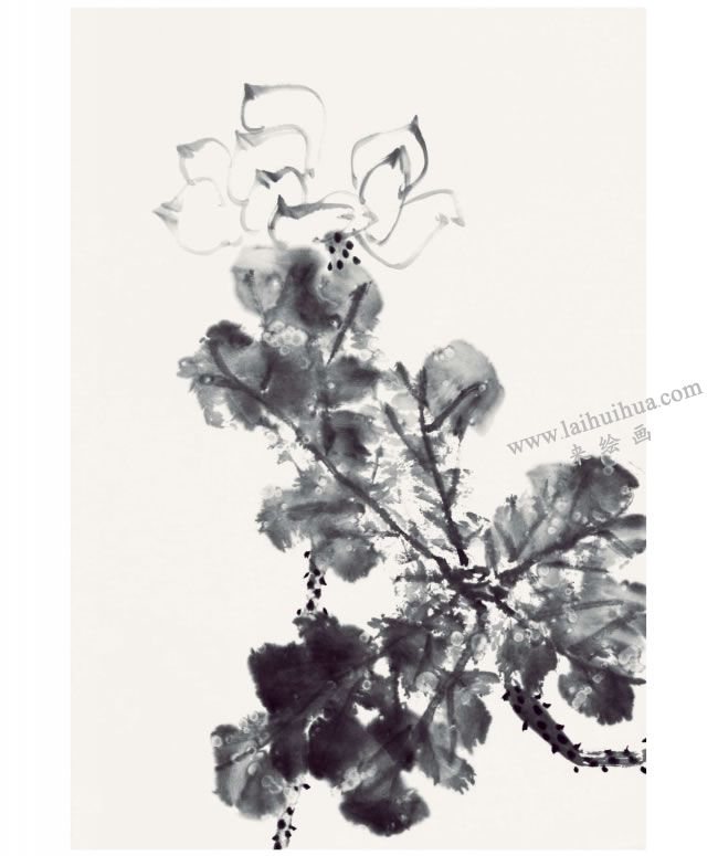 郭書(shū)仁《清水出芙蓉》畫法步驟04