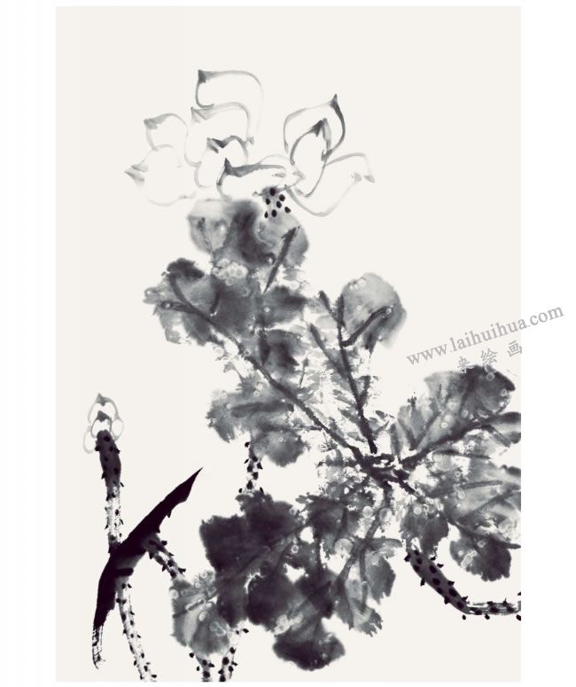 郭書(shū)仁《清水出芙蓉》畫法步驟05