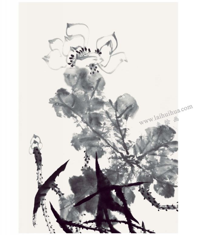 郭書(shū)仁《清水出芙蓉》畫法步驟06