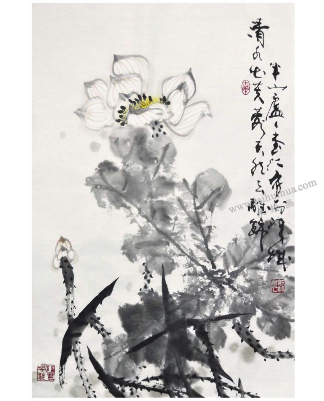 郭書(shū)仁《清水出芙蓉》畫法步驟09