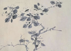 陳淳《花卉圖》卷賞析