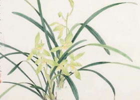 蘭花工筆畫(huà)法（二）