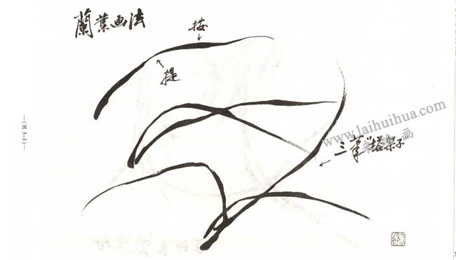 蘭葉的畫法