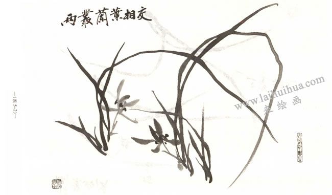 兩片蘭葉相交的畫法