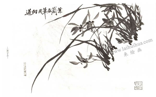 逆向用筆畫蘭葉