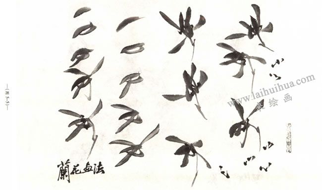 蘭花的畫法02