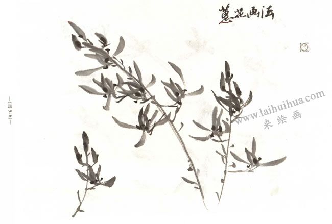 蘭花的畫法03